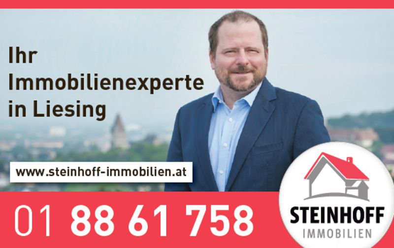 ber den Dchern der Stadt, Traumblick in Mauer /  / 1230 Wien / Bild 5